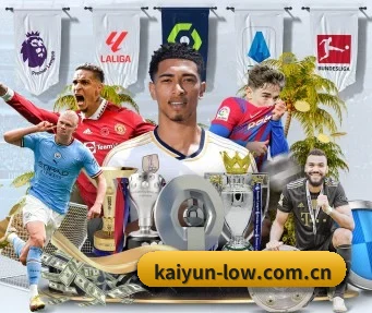 开云 APP(kaiyun)